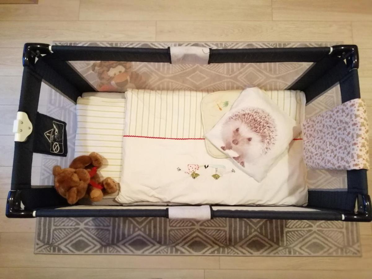 Domki Sowi Kamien Lomnica  Eksteriør billede
