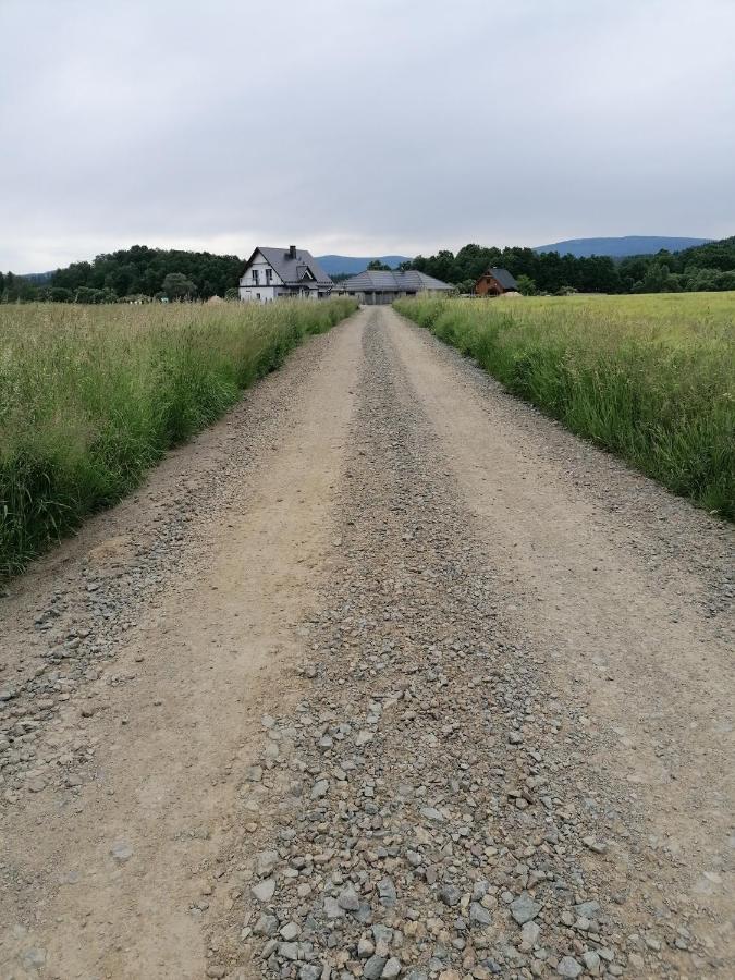 Domki Sowi Kamien Lomnica  Eksteriør billede